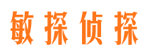 南岸市婚外情调查